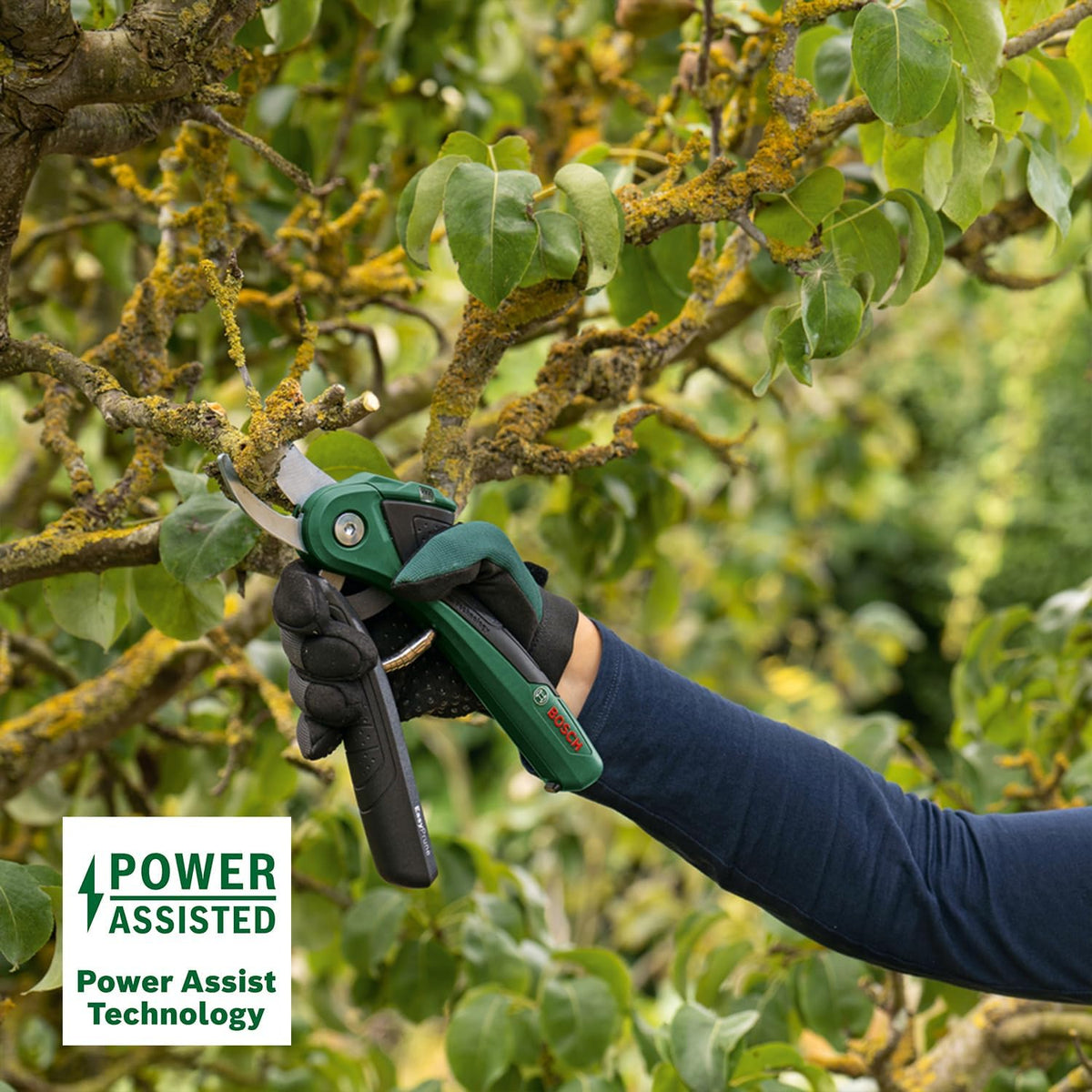 Bosch Cordless Secateurs EasyPrune