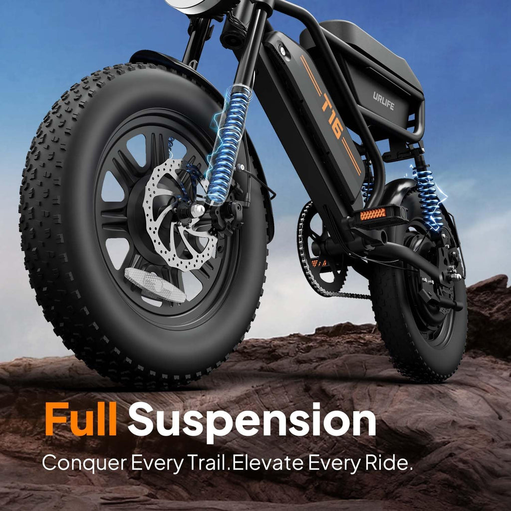 URLIFE Electric Bike for Adults, 16" x 3.0 Fat Tires Ebike, Range 100KM, 48V 13Ah Removable Battery and 250W Brushless Motor Electric Bicycle, Dual Suspension, Color LCD Display E Bike for Teens