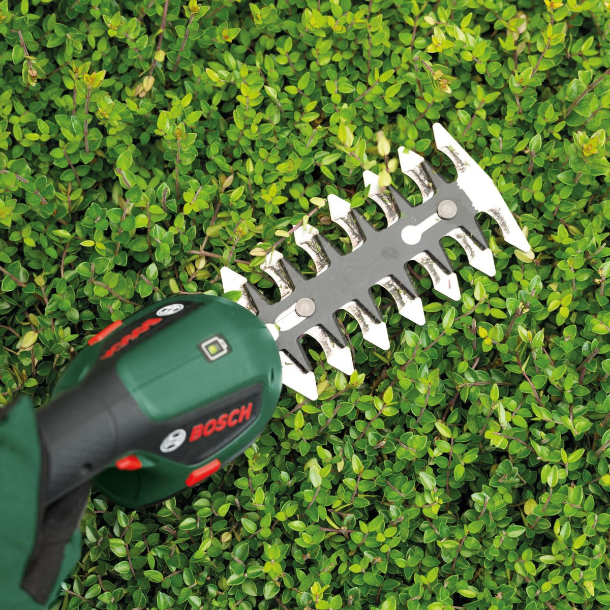 Bosch Cordless Grass & Shrub Shear ISIO 4V