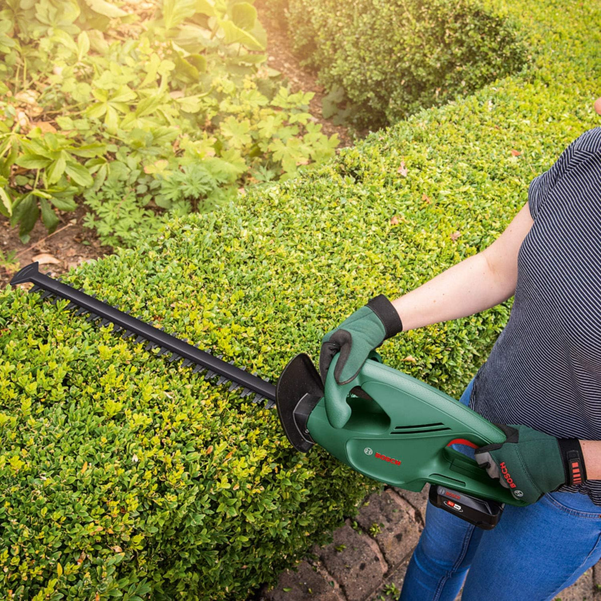 Bosch Cordless Hedge Cutter EasyHedgeCut 18-45 (Without Battery, 18 Volt System, Blade Length 45 cm, Lubricant Spray for Hedge Cutters 250 ml Included, in Carton Packaging) – Amazon Edition